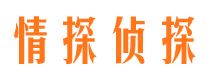 方城侦探公司